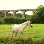 pontcysyllte-6