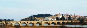 Puente de Palmas, Badajoz