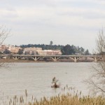puente-de-la-universidad-badajoz-(5)