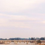 puente-de-la-universidad-badajoz-(6)
