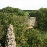 puente-romano-cañada-de-la-isla-5