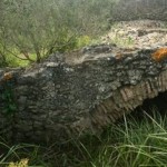 puente-romano-cañada-de-la-isla-3