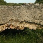 puente-romano-cañada-de-la-isla-2