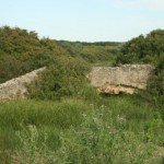 puente-romano-cañada-de-la-isla