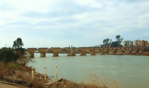 Puente de Palmas Badajoz