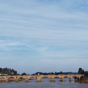Puente de Palmas Badajoz