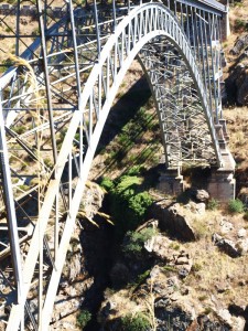 Puente de Requejo Pino de Oro Zamora