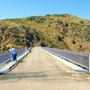 Puente de Requejo Pino de Oro Zamora