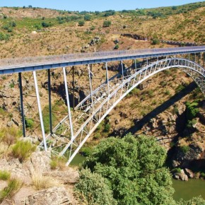 Puente de Requejo Pino de Oro Zamora