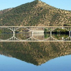 Puente Almirante Sarmento Rodrigues (fotografía: Samuel Santos)